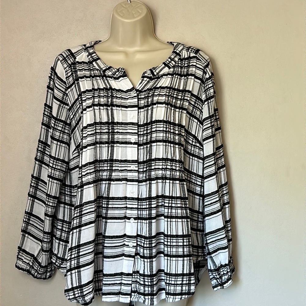 INTRO | BUTTON DOWN SHIRT | PETITE LG